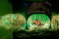 LAGO Brugge Olympia: tickets Student Night